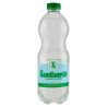 GAUDIANELLO ACQUA EFFERVESCENTE NATURALE CL.50