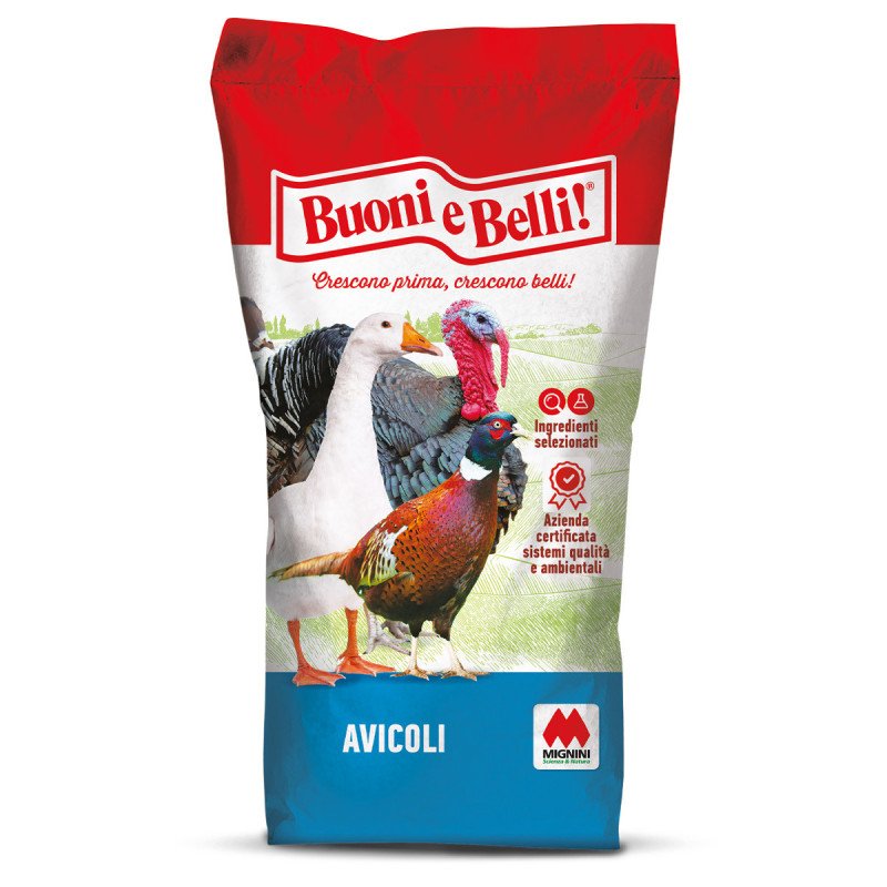 BUONI E BELLI CORTE D'ORO KG.25