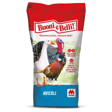 BUONI E BELLI CORTE D'ORO KG.25