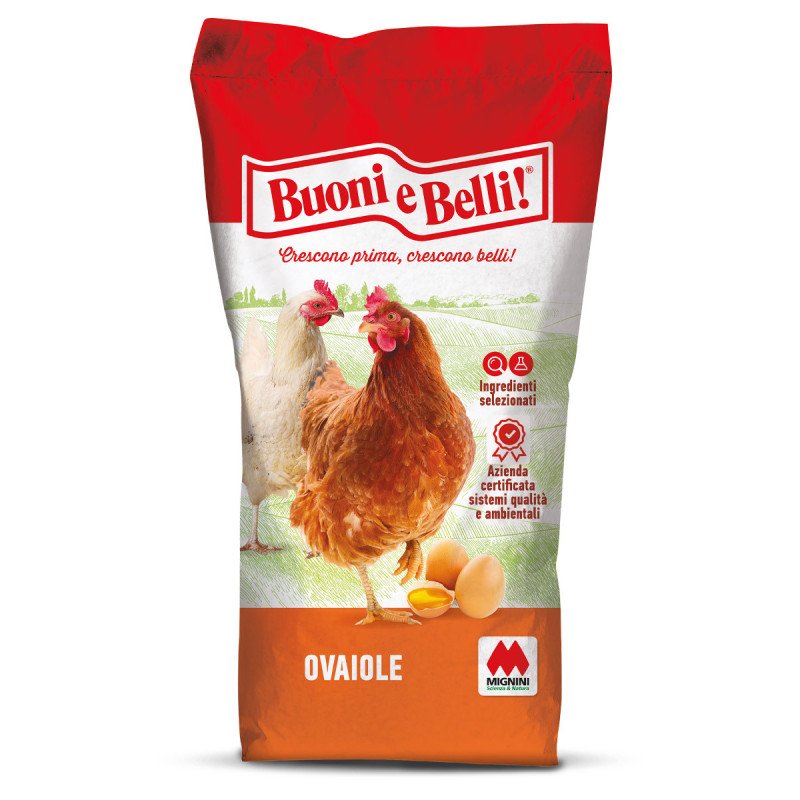 BUONI E BELLI OVOMIO SBRICIOLATO KG.25