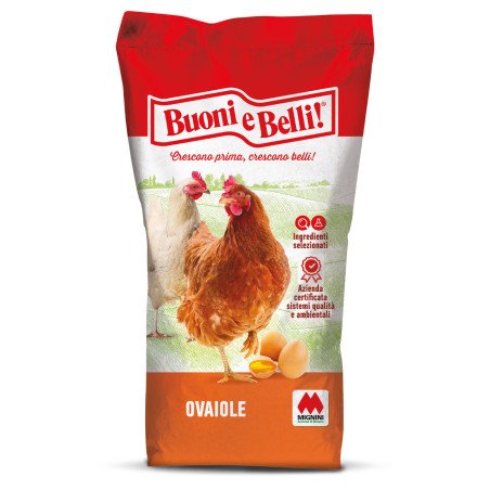 BUONI E BELLI OVOMIO SBRICIOLATO KG.25