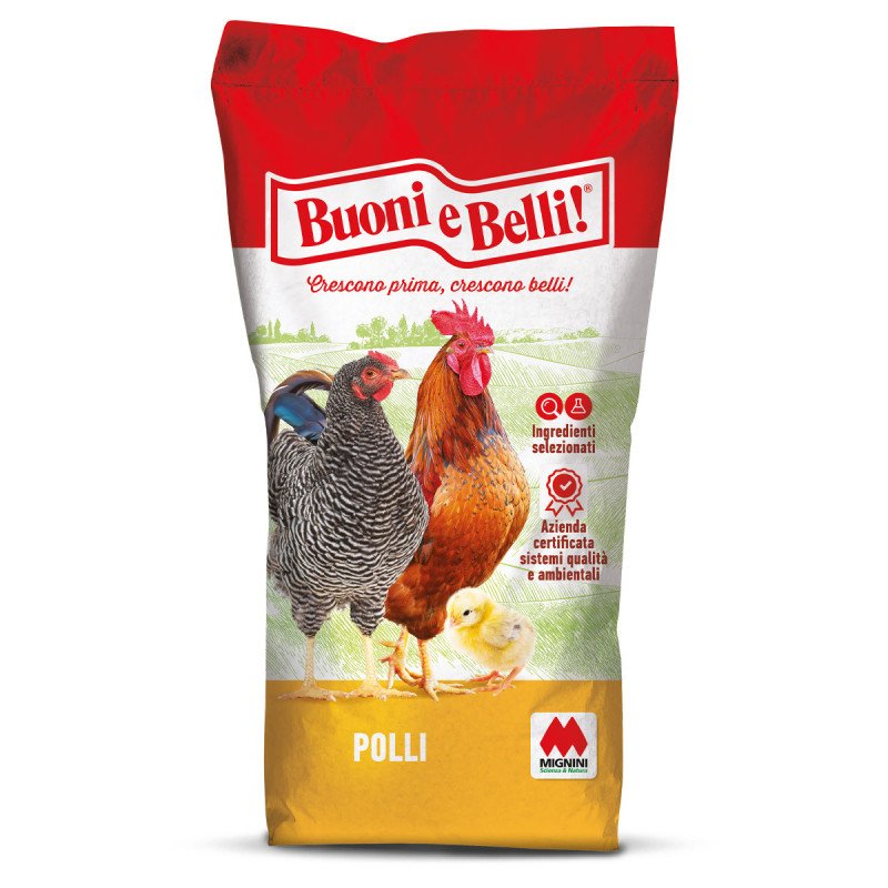 BUONI E BELLI POLLO START SBRICIOLATO KG.25