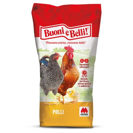BUONI E BELLI POLLO START SBRICIOLATO KG.25