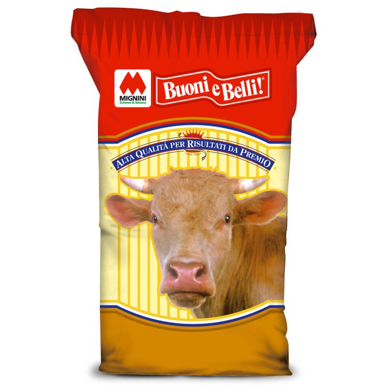 BUONI E BELLI RUMIFIOC 13.5 KG.25