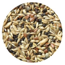 ALLEGRI CANARINI MIX 1KG