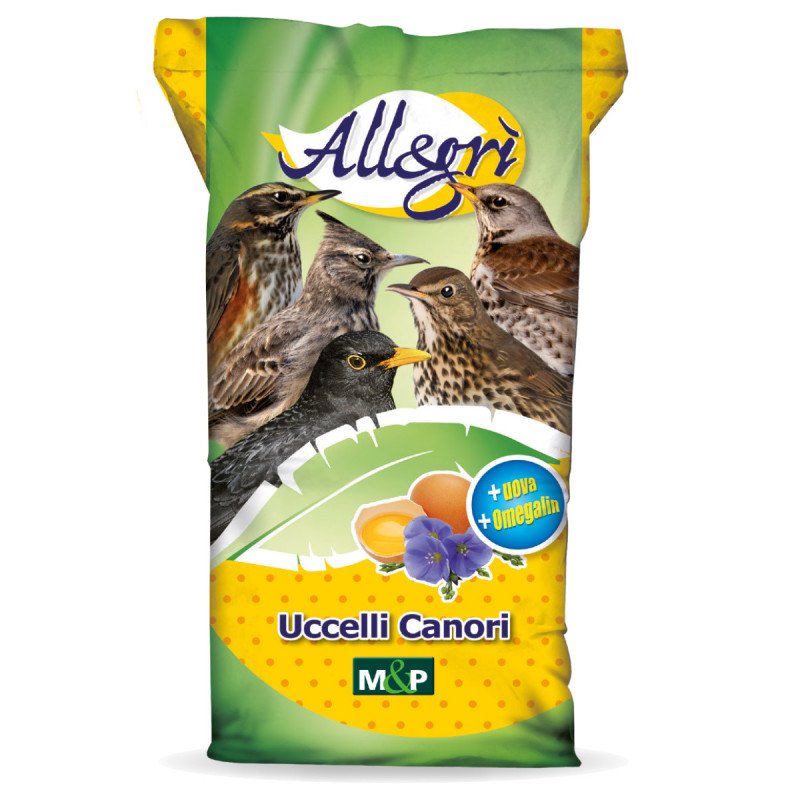 ALLEGRI MANTENIMENTO KG.5