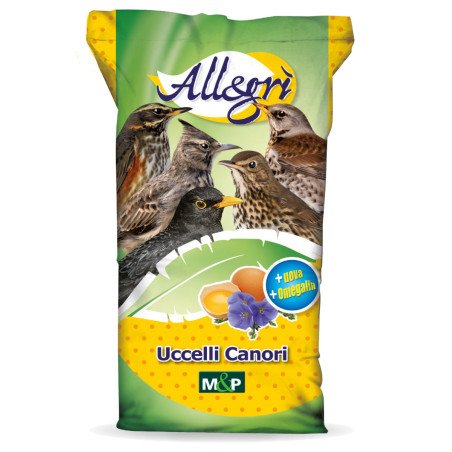 ALLEGRI MANTENIMENTO KG.5