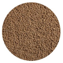 ALLEGRI MANTENIMENTO KG.5