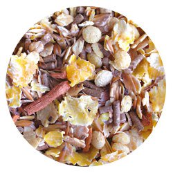 PALIO FIRST ENERGIA KG.25