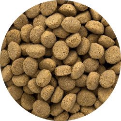 MIRO' ADULT MANZO KG.20