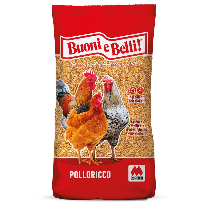 POLLORICCO B&B KG.25