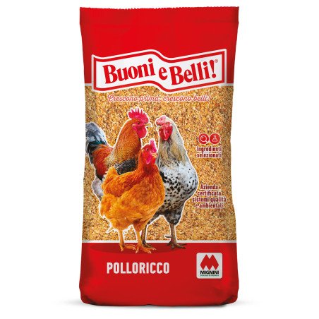 POLLORICCO B&B KG.25