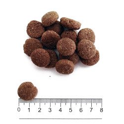 PROLIFE DOG SMART ADULT CHICKEN & RICE MEDIUM LARGE KG.12