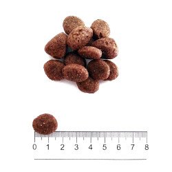 PROLIFE DOG GRAIN FREE SENSITIVE PORK & POTATO  MEDIUM LARGE KG.10