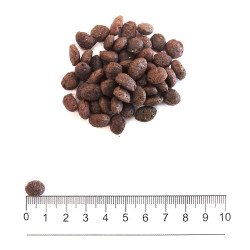 PROLIFE DOG GRAIN FREE SENSITIVE FISH & POTATO MINI KG.2