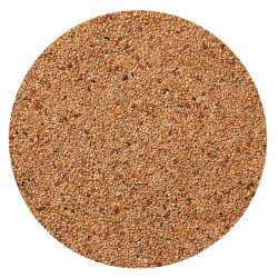 ALLEGRI ESOTICI MIX KG.1