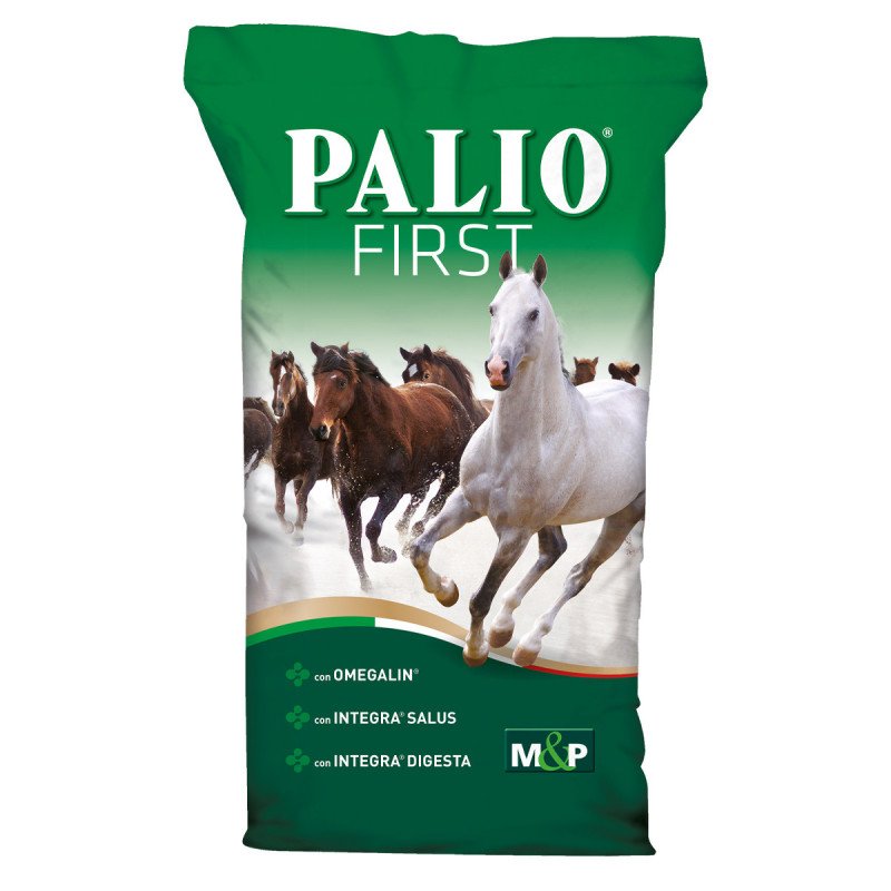 PALIO FIRST ENERGIA GR.20