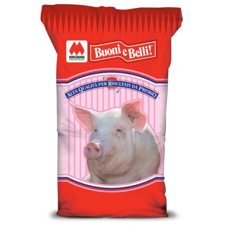 BELLI E BUONI 828K MAXI SCROFE