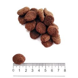 PROLIFE DOG GRAIN FREE SENSITIVE SOLE FISH & POTATO MEDIUM LARGE KG.10