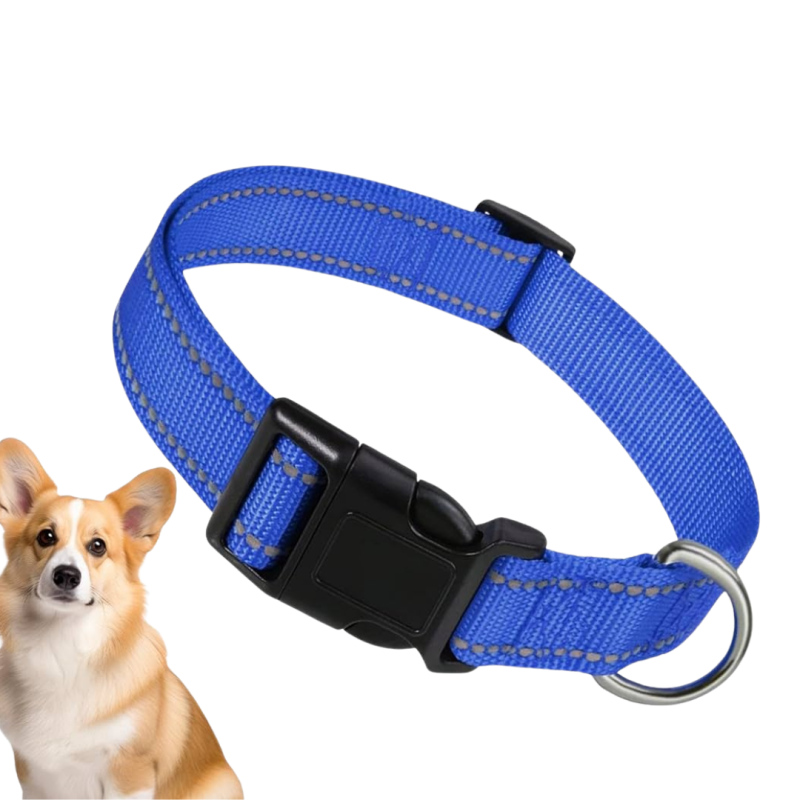 COLLARE NYLON CLASSIC PER CANI CM.36-56