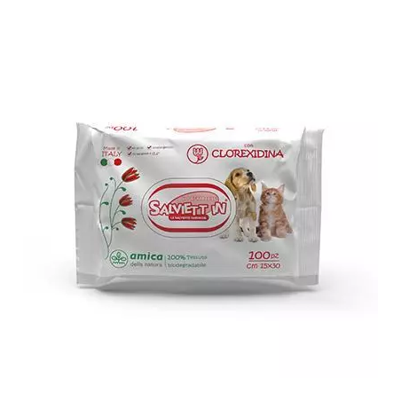 SALVIETTE IN XXL CLOREXIDINA IGIENIZZANTE PZ.100