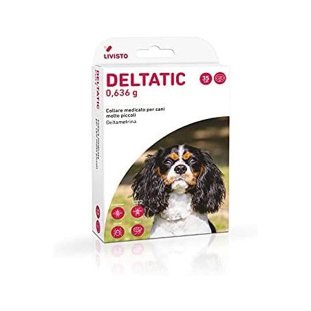 LIVISTO DELTATIC COLLARI CM. 35X2