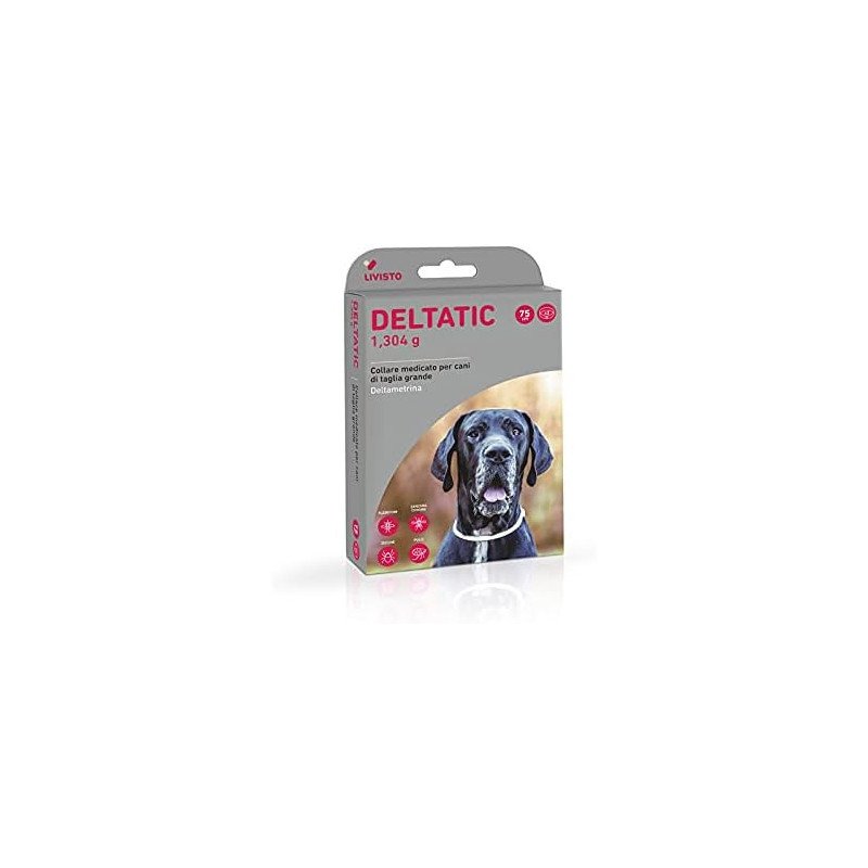 LIVISTO DELTATIC COLLARI CM. 75X2