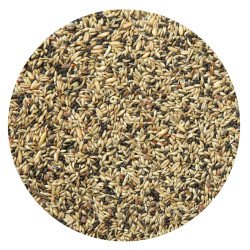 ALLEGRI CANARINI KG.4