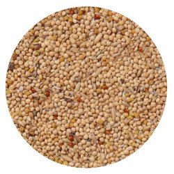 ALLEGRI COCORITE KG.4