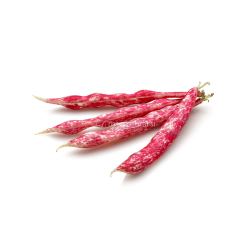 FAGIOLO NANO BORLOTTO LINGUA DI FUOCO GR.250