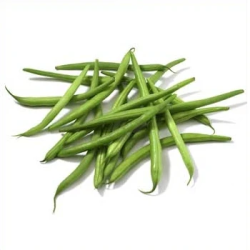 FAGIOLO NANO BOBIS D'ALBENGA