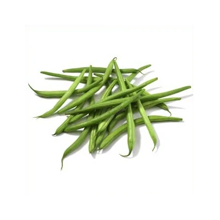 FAGIOLO NANO BOBIS D'ALBENGA