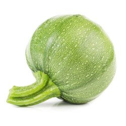 ZUCCHINO TONDO CHIARO DI NIZZA IN BUSTA