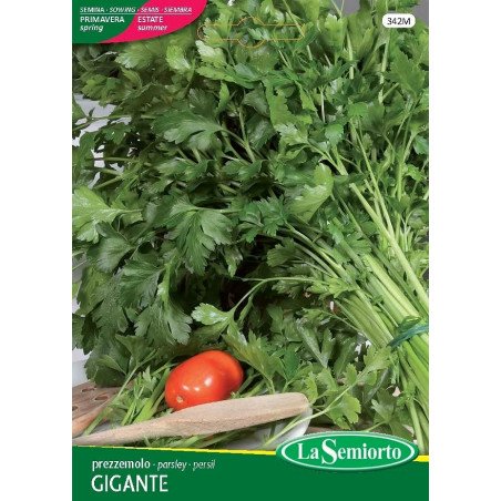 PREZZEMOLO GIGANTE CATALOGNO IN BUSTINA