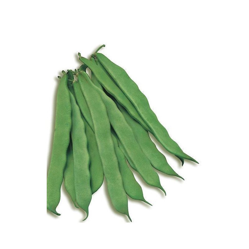 FAGIOLO NANO PLATI' GR.250