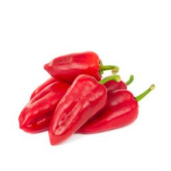 PEPERONE TROTTOLINO AMOROSO IN BUSTINA