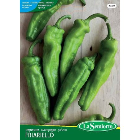 PEPERONE FRIJARIE' IN BUSTA