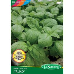 BASILICO ITALIKO IN BUSTA