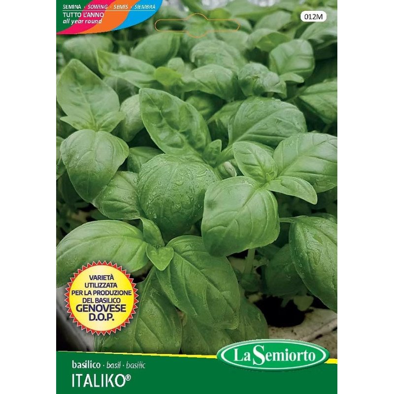 BASILICO ITALIKO IN BUSTA