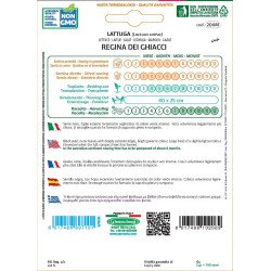 LATTUGA A CAPPUCCIO REGINA DEI GHIACCI IN BUSTINA