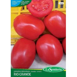 POMODORO RIO GRANDE IN BUSTINA