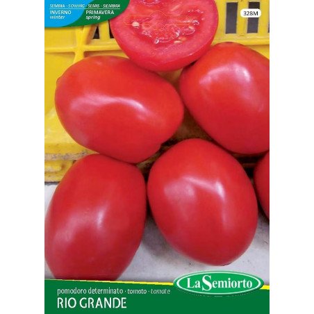 POMODORO RIO GRANDE IN BUSTINA