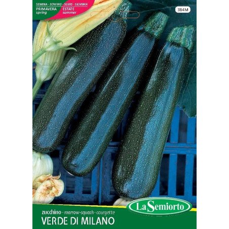 ZUCCHINO NANO VERDE DI MILANO IN BUSTINA