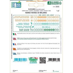 ZUCCHINO NANO VERDE DI MILANO IN BUSTINA