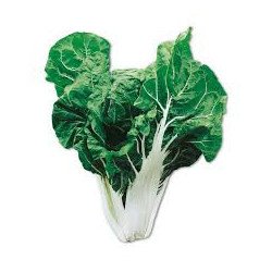 BIETOLA DA COSTE BARESE IN BUSTA