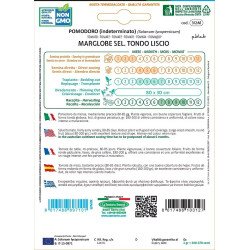 POMODORO MARGLOBE TONDO LISCIO IN BUSTINA