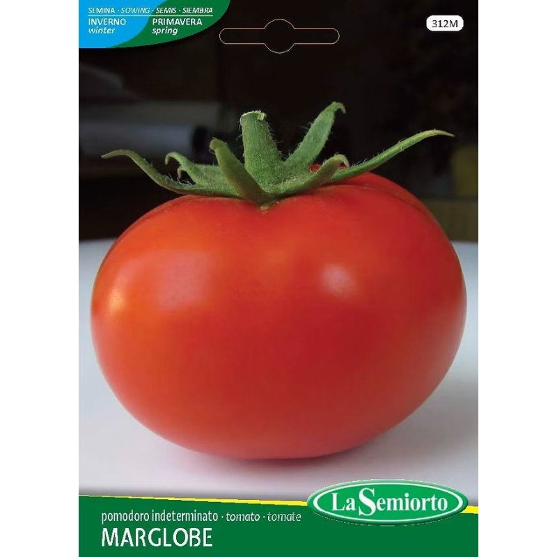 POMODORO MARGLOBE TONDO LISCIO IN BUSTINA