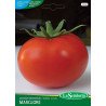 POMODORO MARGLOBE TONDO LISCIO IN BUSTINA