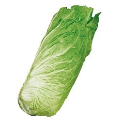 CICORIA PAN DI ZUCCHERO IN BUSTINA