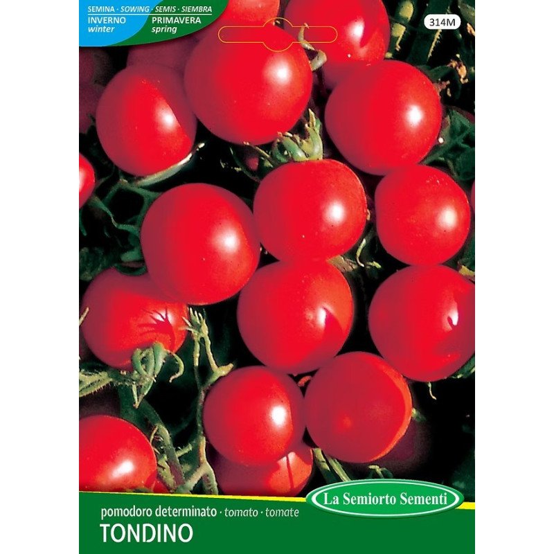POMODORO TONDINO MAREMMANO IN BUSTINA